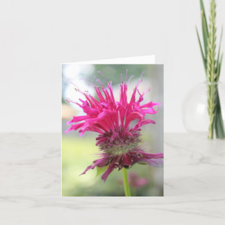Bienen-Balsam-Nahaufnahme Notecard Karte