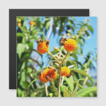 Bienen bei der Arbeit Magnetkarte