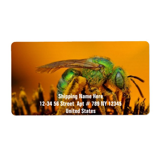 Bienen bekommen süß 1 (Vorne)