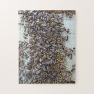 Bienen, Bienen!  Wo ist Bienenkönigin?