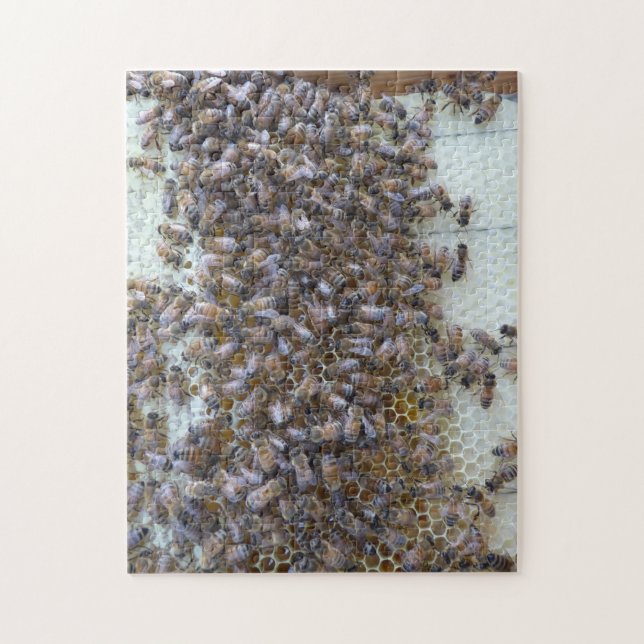 Bienen, Bienen!  Wo ist Bienenkönigin? (Vertikal)