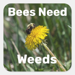 Bienen brauchen Unkraut Quadratischer Aufkleber