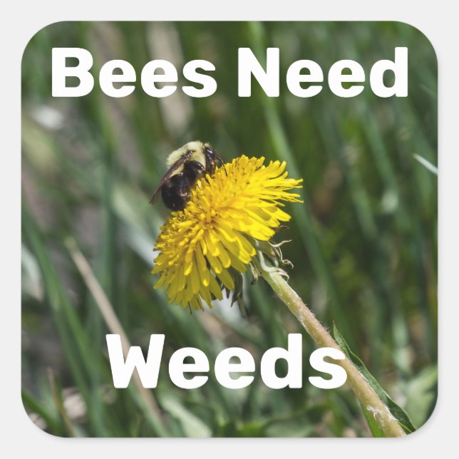 Bienen brauchen Unkraut Quadratischer Aufkleber (Vorderseite)