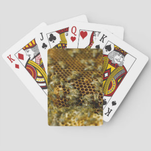 Bienen im Bienenstock, Western Cape, Südafrika Spielkarten