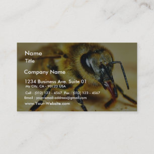 Bienen Insekten Visitenkarte