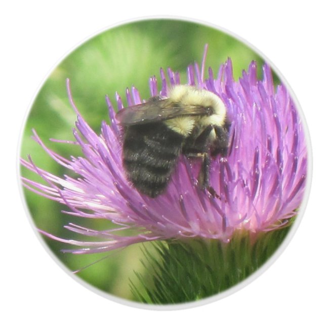 Bienen-Keramik Keramikknauf (Vorderseite)