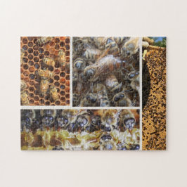 Bienen-Leben-Puzzlespiel