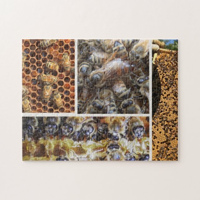 Bienen-Leben-Puzzlespiel (Horizontal)