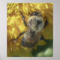 Bienen Liebe gelb...[Aquarell]