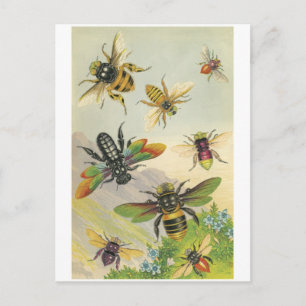 Bienen Postkarte
