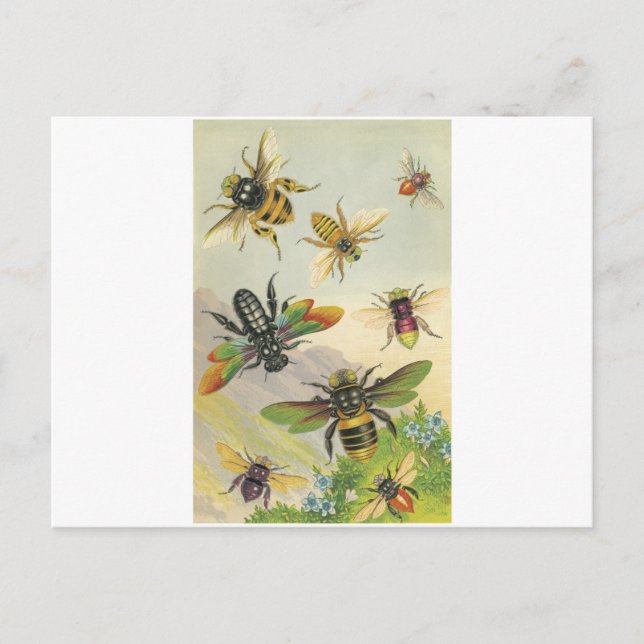 Bienen Postkarte (Vorderseite)