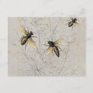 Bienen Postkarte