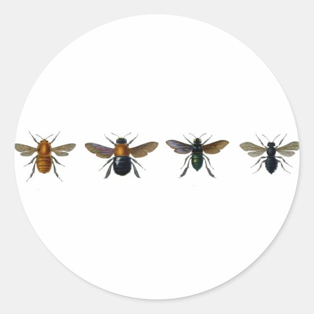 Bienen Runder Aufkleber (Vorderseite)