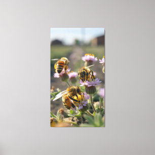Bienen sammeln Pollen von Wildblumen auf dem Bauer Leinwanddruck