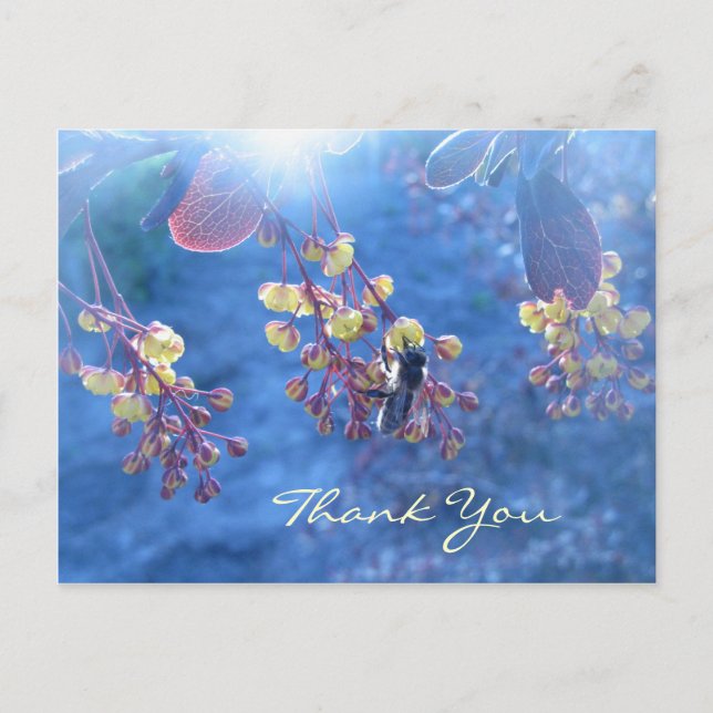 Bienen-und Berberis-Blumen Postkarte (Vorderseite)