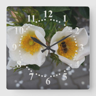 Bienen und Blume im Frühjahr Quadratische Wanduhr