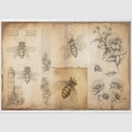 Bienen- und Blumenskizzen Ephemera Seidenpapier