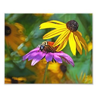 Bienen und Blüten Fotodruck