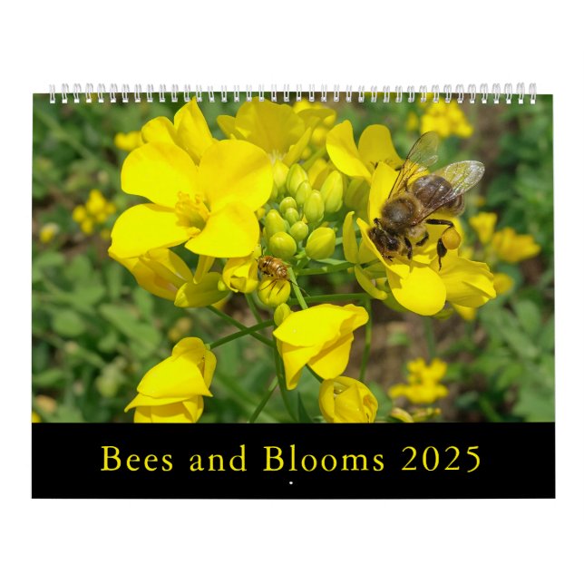 Bienen und Blüten - Kalender 2025 (Titelbild)