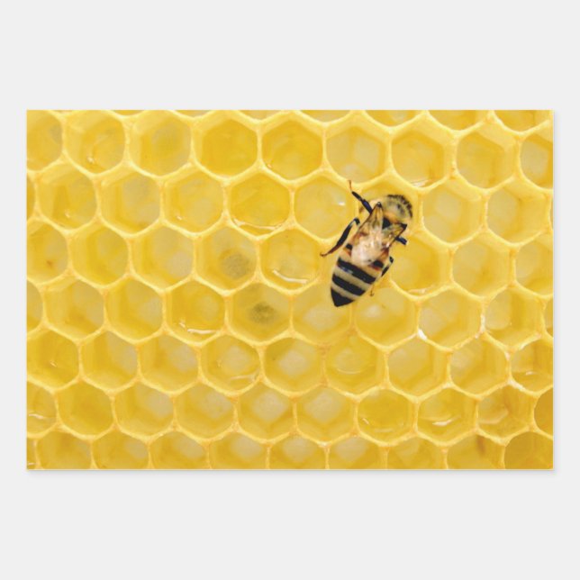 Bienen und Honigwabe Geschenkpapier Set (Vorderseite)