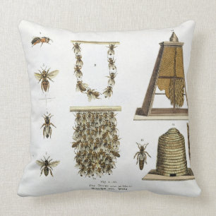 Bienen und Imkerei, "vom jungen Landsman", p Kissen