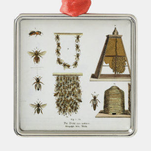Bienen und Imkerei, "vom jungen Landsman", p Ornament Aus Metall
