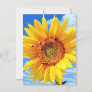 Bienen und Sonnenblumen Sommerpostkarte Postkarte