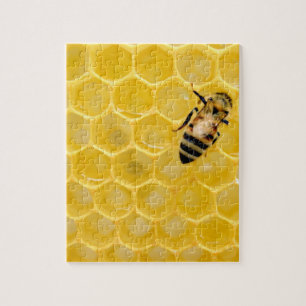 Bienen und Waben