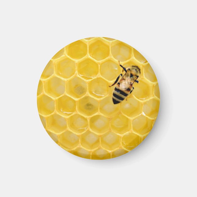 Bienen und Waben Magnet (Vorne)