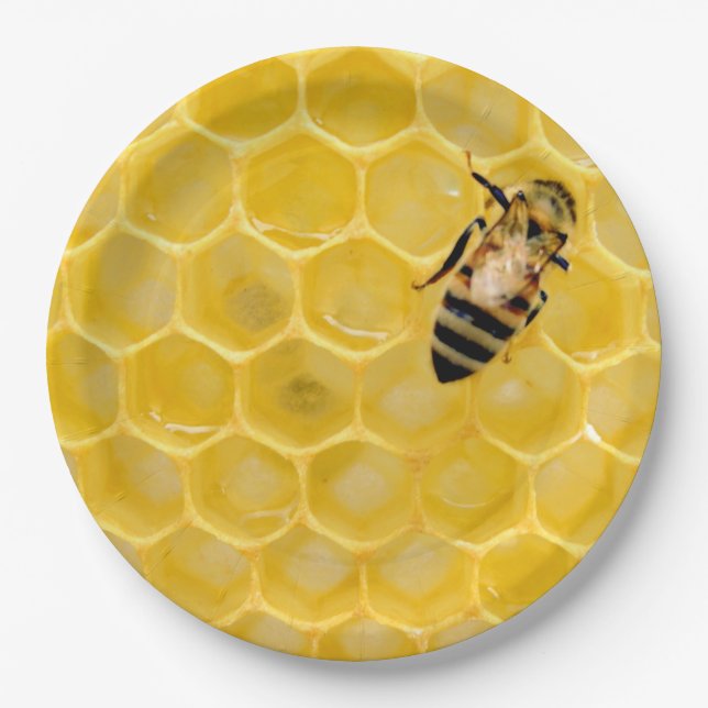 Bienen und Waben Pappteller (Vorderseite)
