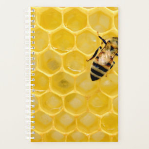 Bienen und Waben Planer