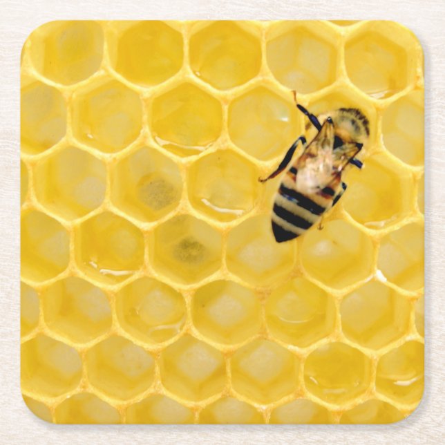 Bienen und Waben Rechteckiger Pappuntersetzer (Vorderseite)