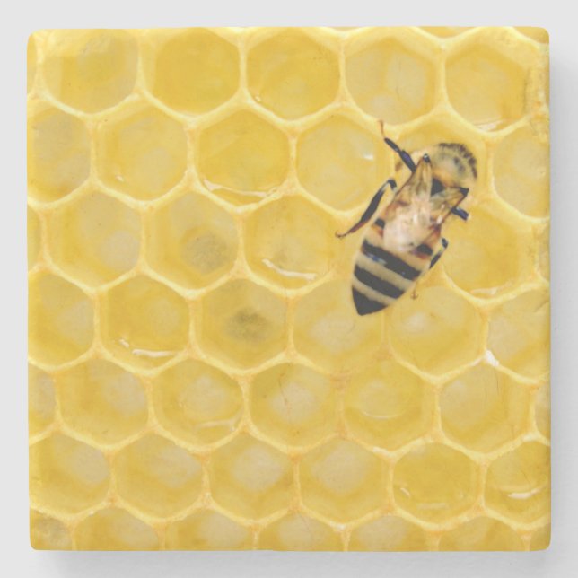 Bienen und Waben Steinuntersetzer (Vorderseite)
