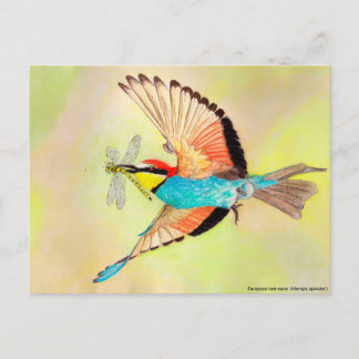 Bienenfresser, bunter Vogel bei Flugbildern Postkarte