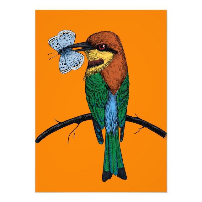 Bienenfresser Fotodruck (Vorne)