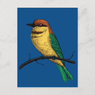 Bienenfresser Postkarte