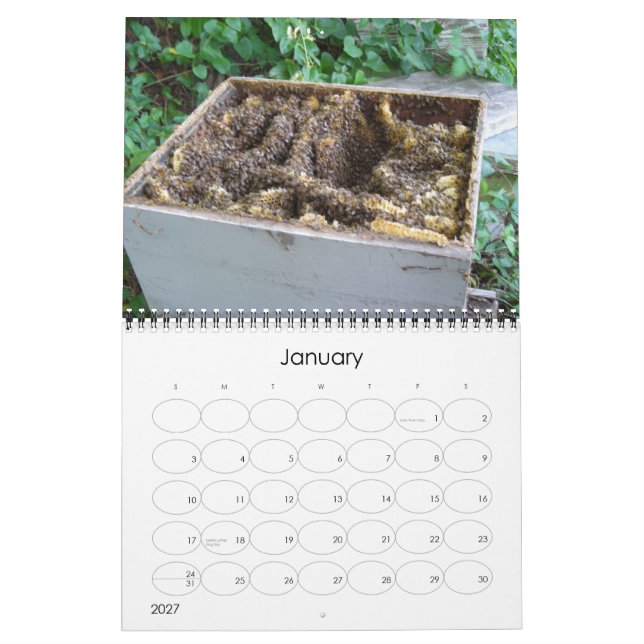 Bienenhappy Calendar Kalender (Jan 2027)