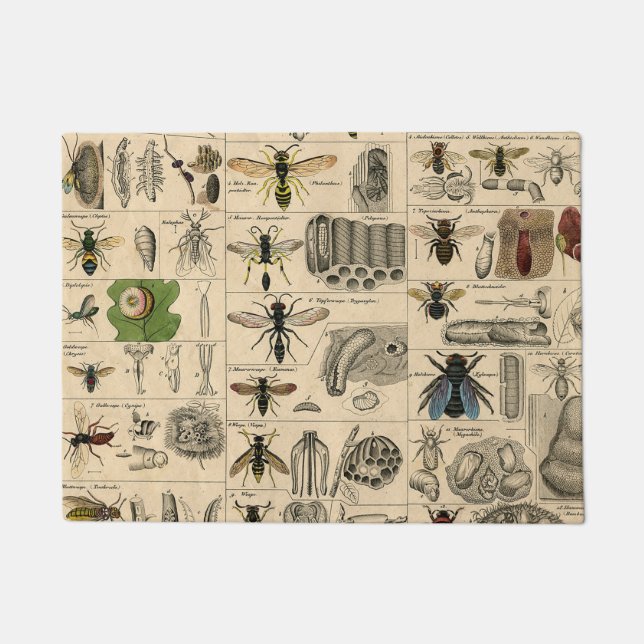 Bieneninsekt-Bug-Wasp-Bienen Fußmatte (Vorderseite)