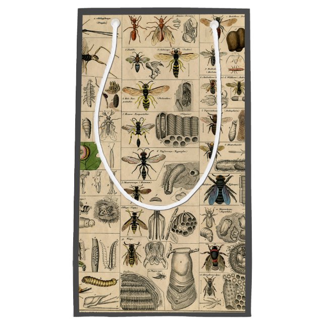 Bieneninsekt-Bug-Wasp-Bienen Kleine Geschenktüte (Vorderseite)