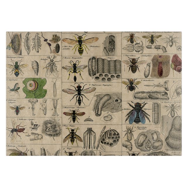 Bieneninsekt-Bug-Wasp-Bienen Schneidebrett (Vorderseite)