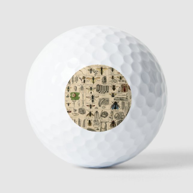Bieneninsekt-Bug Wasp Naturbienen Malerei Golfball (Vorderseite)