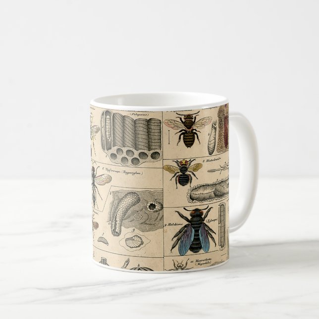 Bieneninsekt-Bug Wasp Naturbienen Malerei Kaffeetasse (VorderseiteRechts)