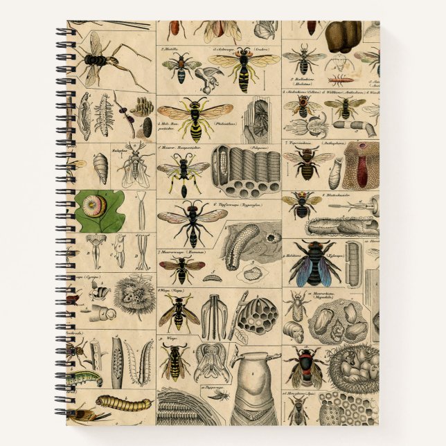 Bieneninsekt-Bug Wasp Naturbienen Malerei Notizbuch (Vorderseite)