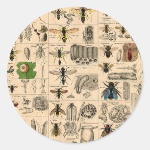 Bieneninsekt-Bug Wasp Naturbienen Malerei Runder Aufkleber