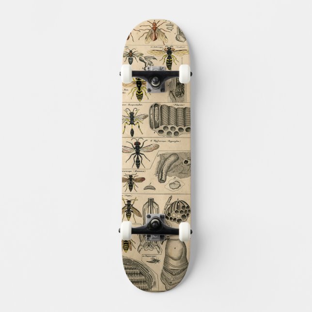 Bieneninsekt-Bug Wasp Naturbienen Malerei Skateboard (Vorderseite)