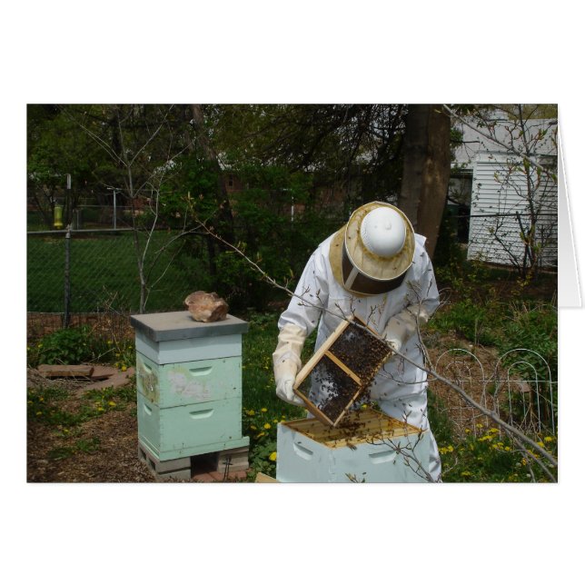Bienenkäfer und Honigbienen (Vorderseite (Horizontal))
