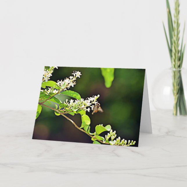 Bienenkarte 119:103 karte (Vorderseite)