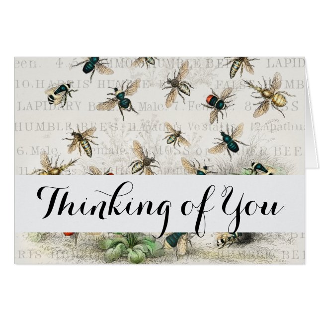 Bienenkleiferin Königin Bienen Antike (Vorderseite (Horizontal))