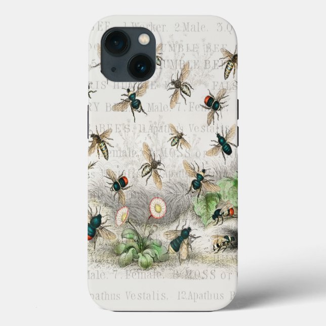 Bienenkleiferin Königin Bienen Antike Case-Mate iPhone Hülle (Rückseite)