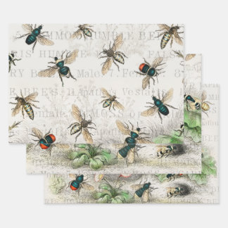Bienenkleiferin Königin Bienen Antike Geschenkpapier Set
